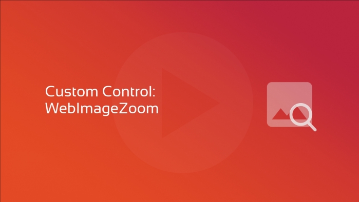 Custom Control - WebImageZoom