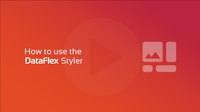 How to use the DataFlex Styler