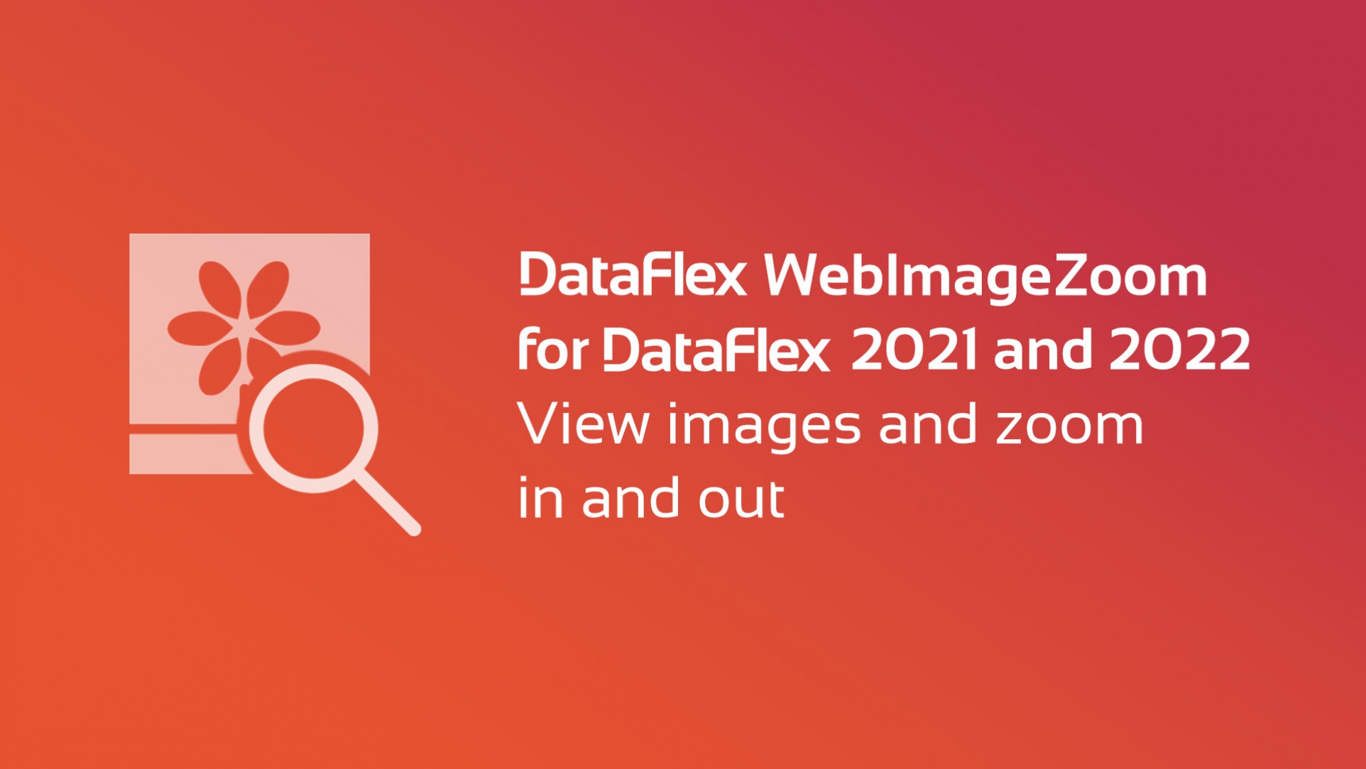DataFlex WebImageZoom Library