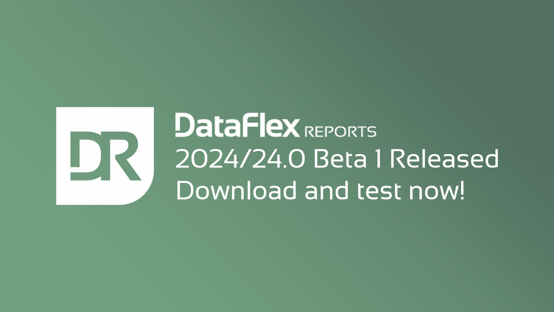 Download and test DataFlex Reports 2024 Beta 1!